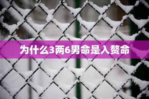 为什么3两6男命是入赘命