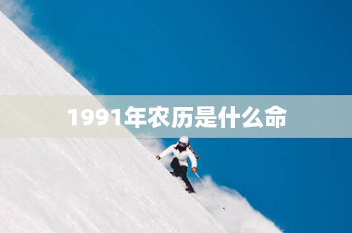 1991年农历是什么命