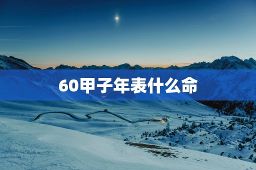 60甲子年表什么命