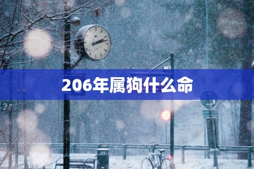 206年属狗什么命