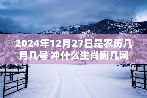2025年12月27日是农历几月几号 冲什么生肖周几网
