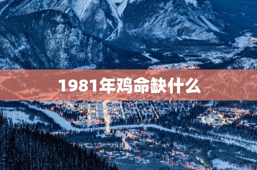 1981年鸡命缺什么