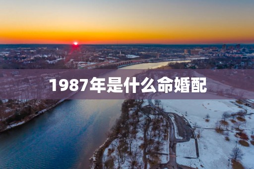 1987年是什么命婚配