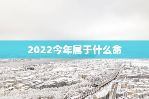 2025今年属于什么命