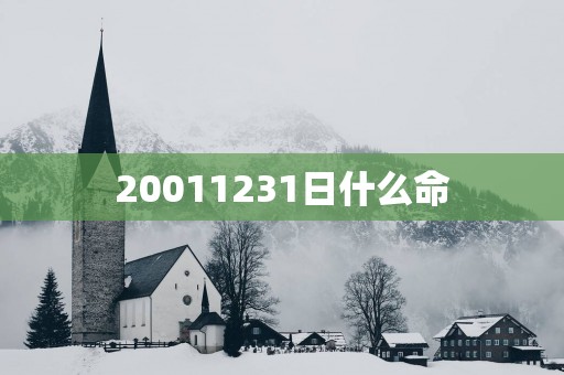 20011231日什么命