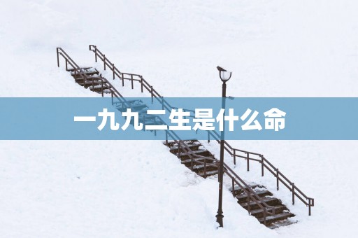 一九九二生是什么命
