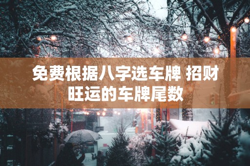 免费根据八字选车牌 招财旺运的车牌尾数