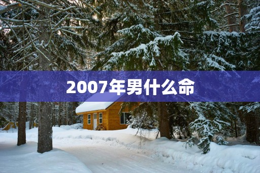 2007年男什么命
