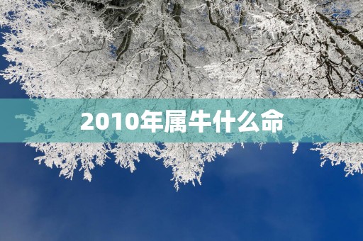 2010年属牛什么命