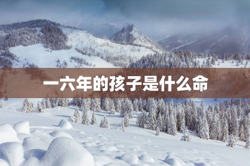 一六年的孩子是什么命