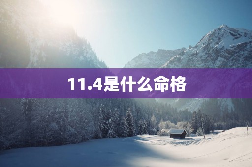 11.4是什么命格