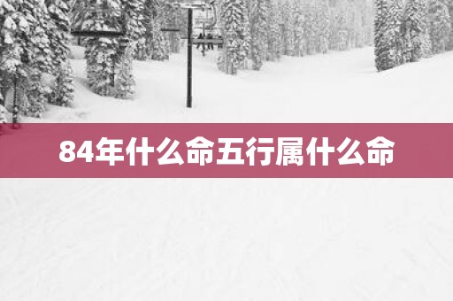 84年什么命五行属什么命