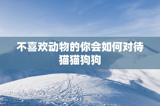 不喜欢动物的你会如何对待猫猫狗狗