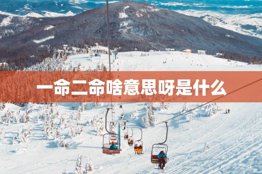 一命二命啥意思呀是什么