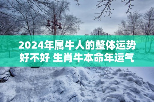 2025年属牛人的整体运势好不好 生肖牛本命年运气详解
