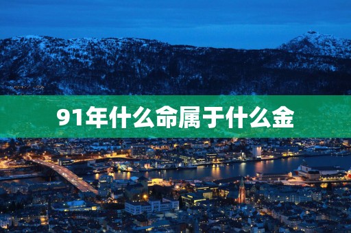 91年什么命属于什么金