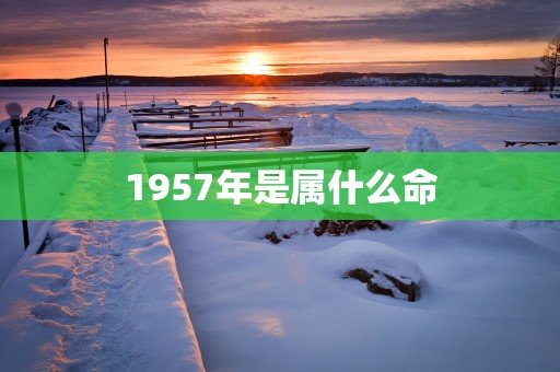 1957年是属什么命