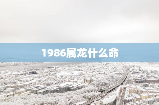 1986属龙什么命