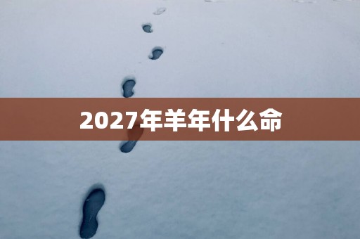 2027年羊年什么命