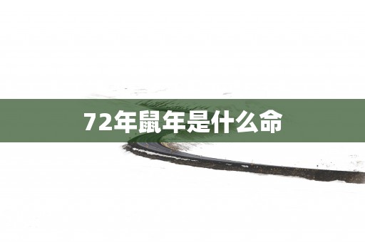 72年蛇年是什么命