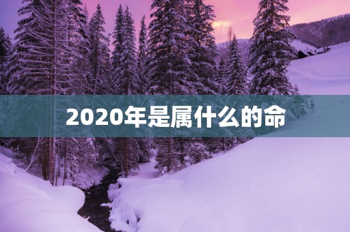 2025年是属什么的命