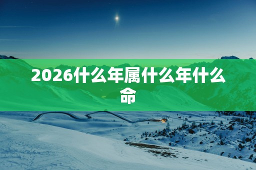 2026什么年属什么年什么命