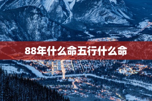 88年什么命五行什么命