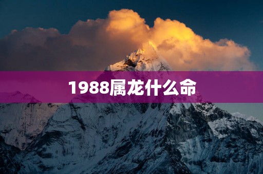 1988属龙什么命