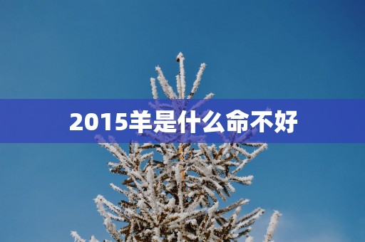 2015羊是什么命不好