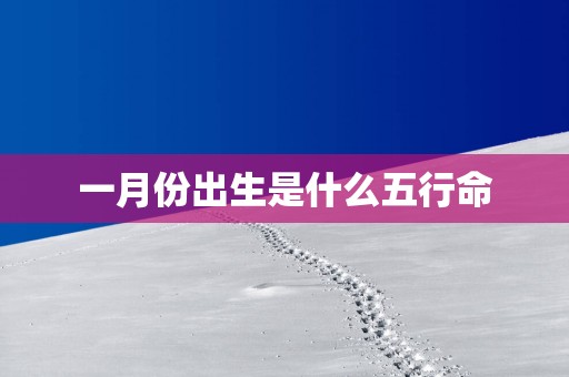 一月份出生是什么五行命
