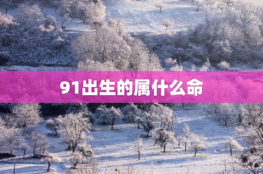 91出生的属什么命