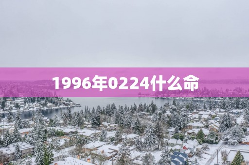 1996年0224什么命