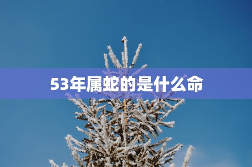 53年属蛇的是什么命