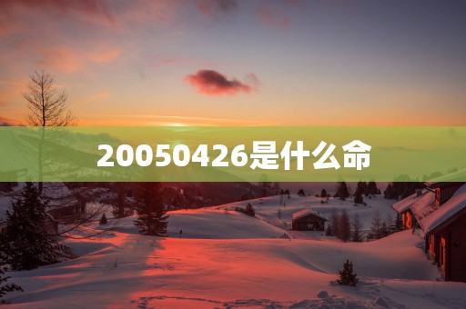 20050426是什么命