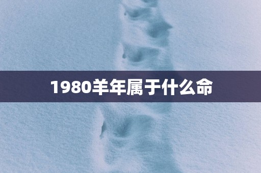 1980羊年属于什么命