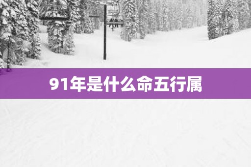91年是什么命五行属