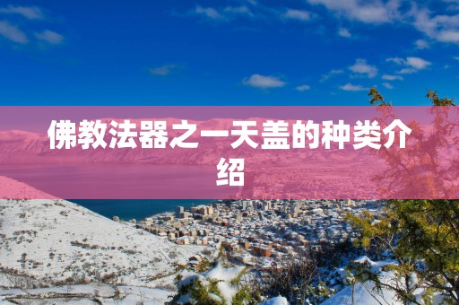 佛教法器之一天盖的种类介绍
