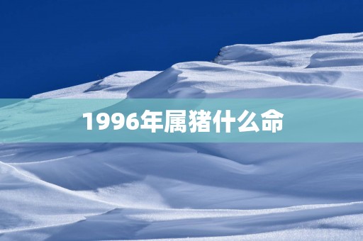 1996年属猪什么命