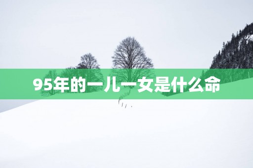 95年的一儿一女是什么命