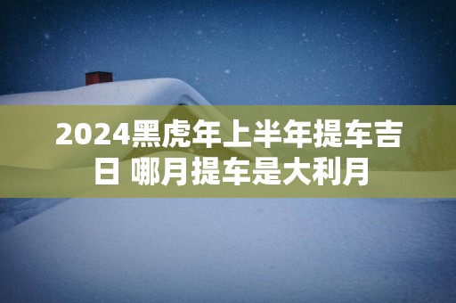 2025黑蛇年上半年提车吉日 哪月提车是大利月