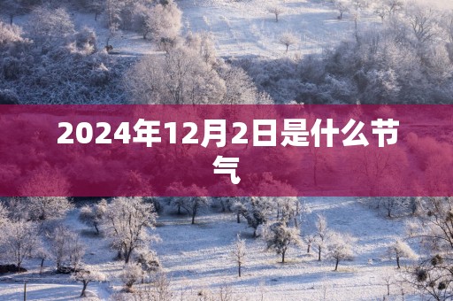 2025年12月2日是什么节气