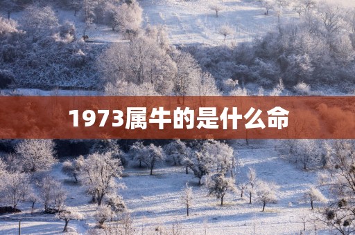 1973属牛的是什么命