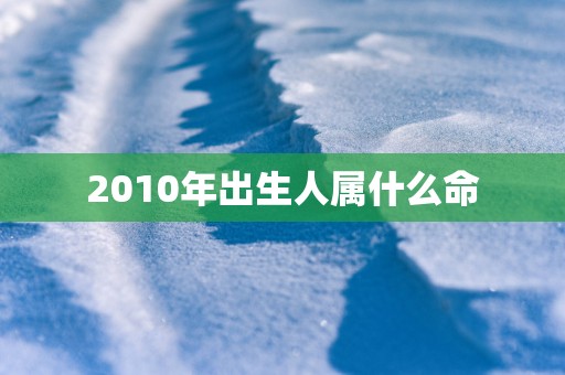 2010年出生人属什么命
