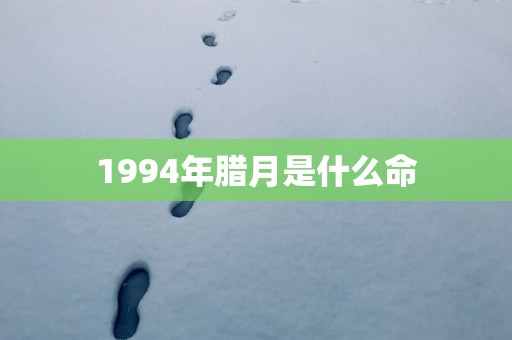 1994年腊月是什么命