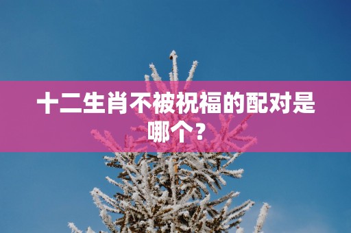 十二生肖不被祝福的配对是哪个？