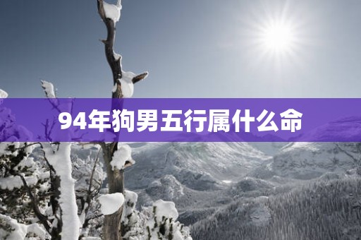 94年狗男五行属什么命