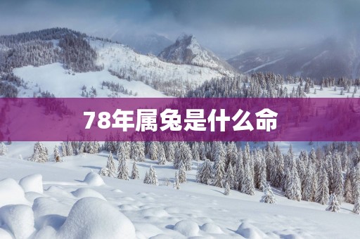 78年属兔是什么命