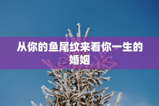 从你的鱼尾纹来看你一生的婚姻