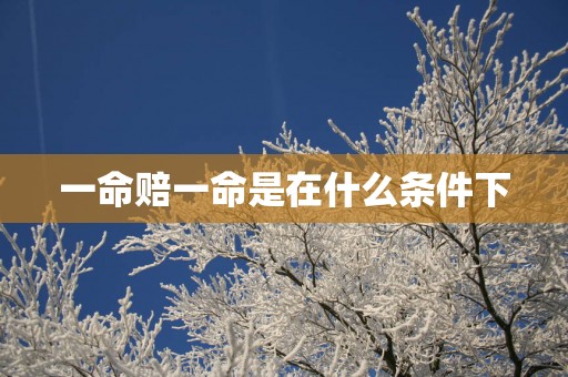 一命赔一命是在什么条件下