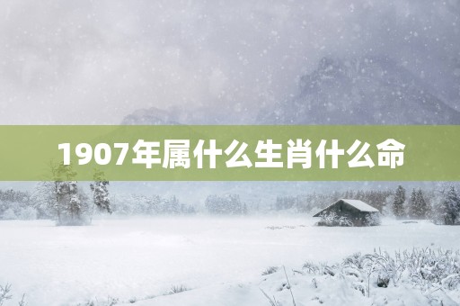 1907年属什么生肖什么命